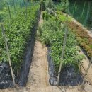 삼성복지용구센터 이미지