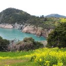 하화도 꽃섬길 이미지