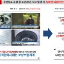 문구야놀자신정푸른