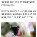 "초특급 '폭염' 터진다" 오늘(3일) 에어컨 없으면 '곁땀' 폭발하는 무더위 시작된다 이미지