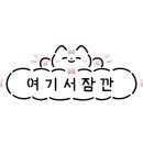 에스에스투 이미지