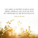 [CTS 말씀이미지] 요한복음 14장 26절 #말씀이미지 #감경철 #CTS #핸드폰배경화면 이미지