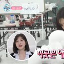 조이애견