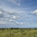 제주신공항부동산공인중개사사무소 이미지