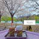 대구 벚꽃 카페 어디 갈까? 동촌유원지 햇살상점 벚꽃 흩날리는 감성 카페 솔직 후기