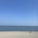 루나 힐 이미지