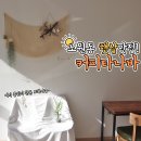 커피타나바