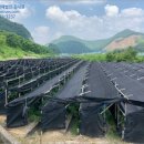 무주읍106 이미지