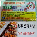 오리사냥 Daum카페