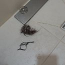 영통하수구막힘싱크대막힘변기막힘뚫음 이미지