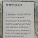 돈버는 애벌레 이미지