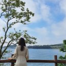 세네일 이미지