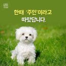 없음 이미지