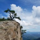 성서농협 죽전지점앞 이미지