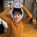 Tree of im 이미지