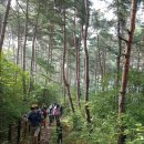 정인갑 | (BAC블랙야크 명산100)#내변산#클린산행 등산코스,#최단코스...