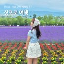 북해도 | 일본 북해도 여름 삿포로 패키지 여행 후기 3박4일 일정 경비