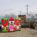 유영목장 이미지