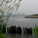 한강 산책 이미지