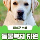 해남동물병원 이미지