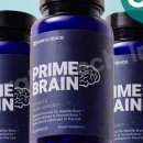 브레인 사이언스 이미지