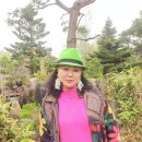 이종태농장 Daum카페