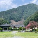(주)원효통상 | 영동 반야사 배롱나무명소 호랑이 돌너덜 백화산