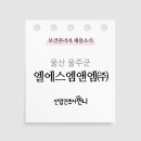 엘에스엠앤엠(주)