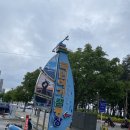 속초해변 국민여가 캠핑장 | 속초국민여가캠핑장 - 속초해변 바로 앞 지자체 캠핑장