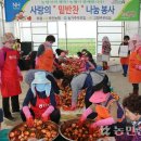 부안육묘장 이미지