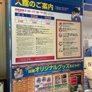 박물관 수 | 요나고여행 코난마을 필수여행지 추천코난박물관 입장료 후기