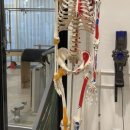 해운대빌딩B동 이미지