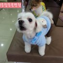 토닥토닥동물병원 이미지