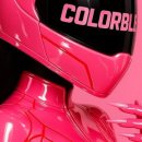 컬러온더테이블(color on the table)