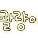 글로와 이미지