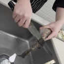 한식조리기능사(실기) | [강남]한식조리기능사 실기 동태찌개 수업 후기 &amp; 시험 대비 정리 (한솔요리학원)