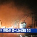 영천농장축사 이미지