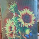 지비에스 이미지