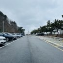 서울에서 정동진 당일치기 여행 가볼만한곳 해수욕장 주차 해변 모래시계공원 강릉여행코스