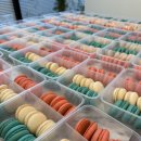 무룡초등학교병설유치원 이미지