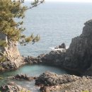 입석농장 이미지