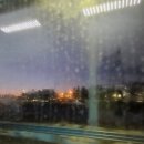 장안초원A신호등 앞 | 2026.1.24 - 1.26 대련 여행 1 -(대련공항 무료셔틀, 메이하오리즈호텔, 루왕자이, 서안로야시장...