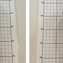 베네피트니스 이미지