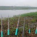 황룡강 주유소 이미지