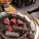 완벽한소풍