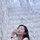 드림사진카페 이미지