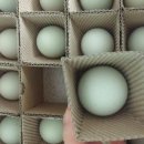 고려청계