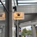 댕데이지 네이버블로그