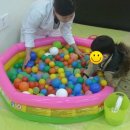 코치푸드 이미지