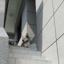 백구공인중개사사무소 이미지